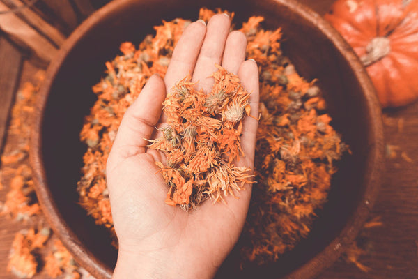 CALENDULA - A Guide to Not Just Use it for Skincare, But to Grow it Too!