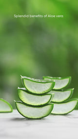 Omeo Aloe Vera Leaf Extracts Body Wash (180ml)