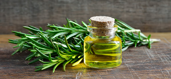 Top Benefits of Rosemary for Skin