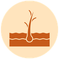 benefits Image
