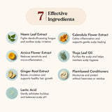 Omeo Anti Dandruff Shampoo | Pack Size 100ML & 200ML