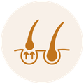 benefits Image
