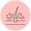 Gently Cleanses Scalp 