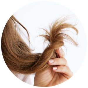 Frizzy Hair Strands