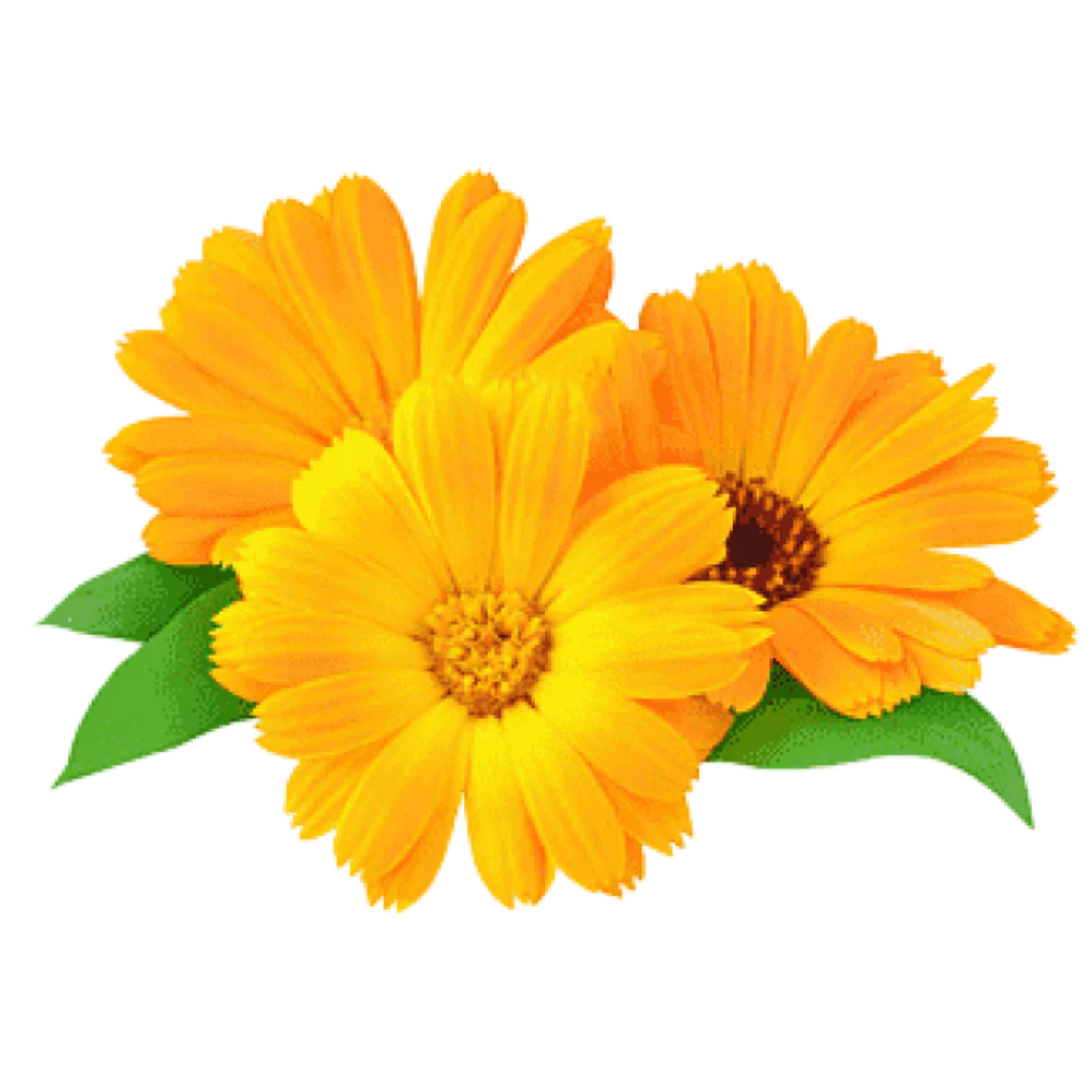 Feature Image