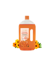 Pack of 1