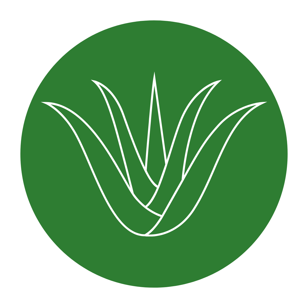Aloe Vera Powered Care