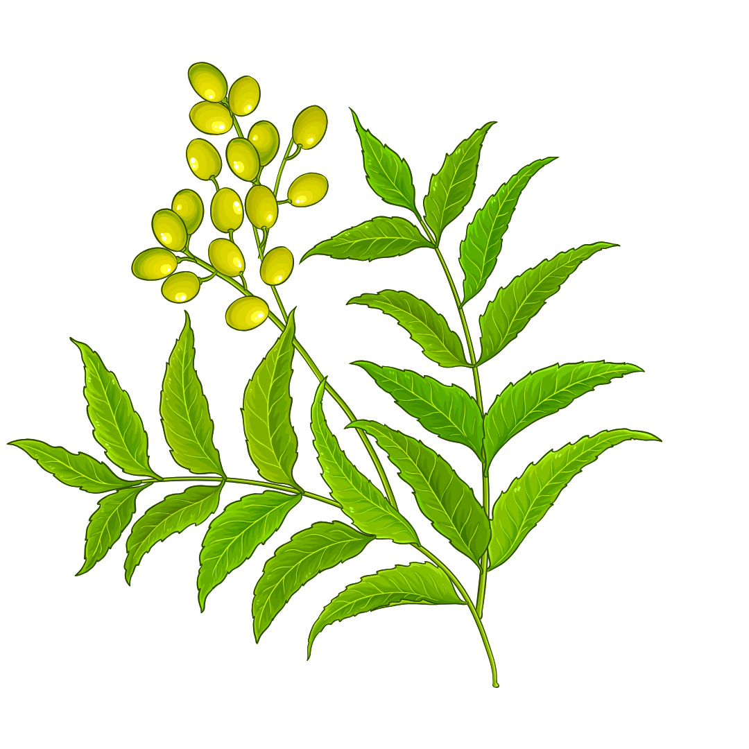 Feature Image